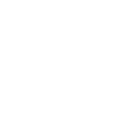 Left arrow icon